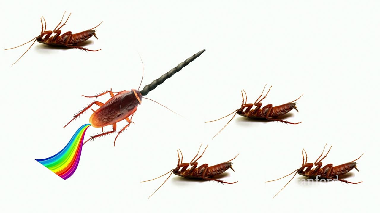 Finding Product-Market Fit